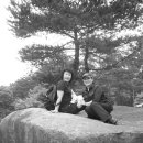 관악문화원 Daum카페