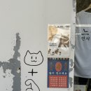 근육고양이잡화점