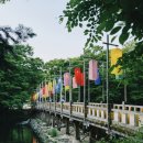 한국민속촌유스호스텔 | 용인 한국 민속촌 할인팁! 오후 6시 방문 _공포체험...야간 공연 연분 위치 및 후기(공연 동영상 있어요!)