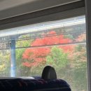 창조꽃집 이미지