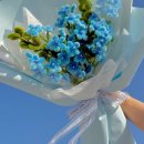 모루 꽃다발 이미지