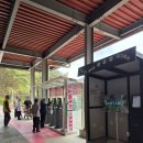 잔도길무인카페 | 단양 여행 놀거리 스릴 폭발 알파인코스터 , 전망대 ,잔도길까지 이용 할인 팁