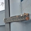 고성] 아이랑 함께 방문하기 좋은 곳/화진포 해양 박물관, 송지호 전망대, 화암사