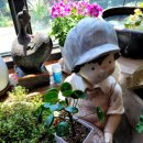 초당가는길 펜션 이미지