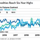 시장수퍼 이미지