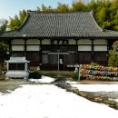 군산 동국사 (月明山 東國寺) 이미지