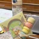 (초등,중학생)도부터배우는피아노 | [피아노 학원] 선생님 알바후기! 장단점, 꿀팁, 시급의 비밀😲