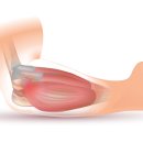 한그루한의원 이미지