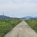 이천1리 이미지