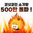 3019 CBC뉴스