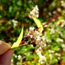 상상농장 이미지