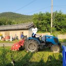 송전농장 이미지