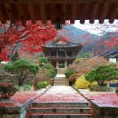 영주리치관광호텔 이미지