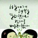 희노애락 Daum카페