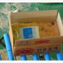 바다림 이미지