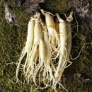 금산 영농조합법인 이미지