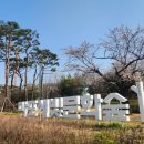 레드로드(어울마당로) 이미지