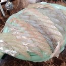 도원수산 이미지