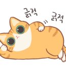 대전실내크리닝 에바크리닝 아우라광택 손세차 이미지