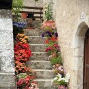 꽃마을로 이미지