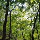 오리나무약수터 이미지