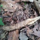 수배농장 이미지