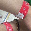 하도조아 | 2025 궁디팡팡 캣페스타 SETEC 12/6 후기 (30만원 사냥후기)