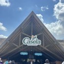 말레이시아 사파리 <얼룩말 잭> | <두바이, 모리셔스 신혼여행> 모리셔스 ② * 카젤라파크 에코라이더, 워킹위드라이언