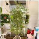 행복을주는꽃 | 성주꽃배달 꽃으로 행복을 전하는 꽃담 후기