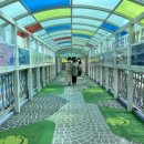 증포초등학교 앞 이미지