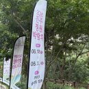 진성삼거리 | 야간개장으로 분위기 좋은 수국축제 추천 진주 월아산 수국 명소 주차정보, 입장료, 관람시간 등 후기