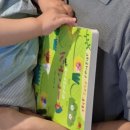 준카프라자 | 후쿠오카 가족여행 3박4일, 5인 가족 (21개월 아기 포함) 일정 경비 정리 (사가, 다케오 근교 렌트카 여행)