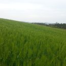 단아농장 이미지