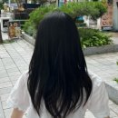 [분당/서현 미용실 꼼앤헤어]고운 대표원장님 여성커트 후기+귀여운 강아지들
