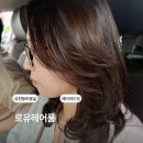 유천동행정복지센터 대회의실 | 유천동 미용실 로유헤어룸 레이어드컷 후기