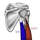 팀윤짐 송도9호점 이미지