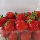 양수리 두물머리길 이미지