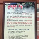 진주본가한방삼계탕 | 함안 맛집 본가 삼계탕 초복 중복 말복 한방 삼계탕 후기