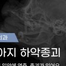 고성동물병원 이미지