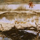 수채화A 이미지