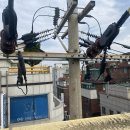 수유중앙시장 이미지