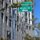 도미니클라바 이미지