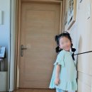 팡팡 Daum카페