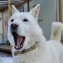 미산분교 캠핑장 이미지