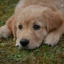 소담동물병원 이미지