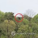 전주서 국내 생태계 최상위 포식자 담비 사냥모습 포착 이미지