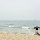 관광시설관리사업소 앞 이미지