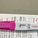 광명가득한방병원 | [임밍아웃] 먹주디 말띠맘이 되다! 임신 4주~5주 기록 (+분만병원 결정 &amp; 조리원 예약)