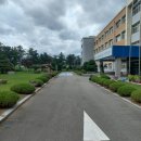 괴정1길 이미지