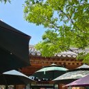 비선대만남의광장 이미지